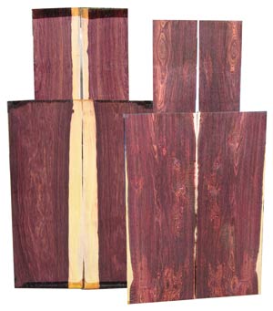 Camatillo Rosewood.jpg