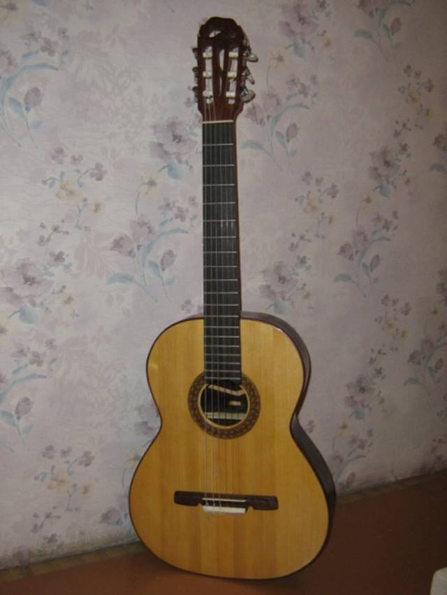 гитара Петропавловского..jpg