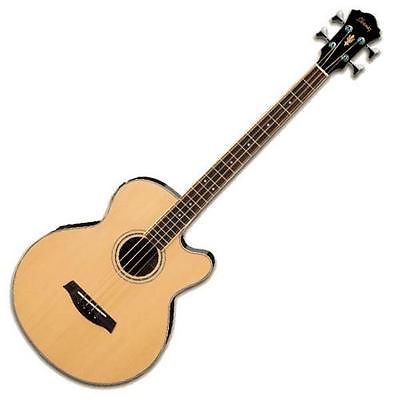 Ibanez AEB5E Acoustic-Electric Bass Guitar.jpg