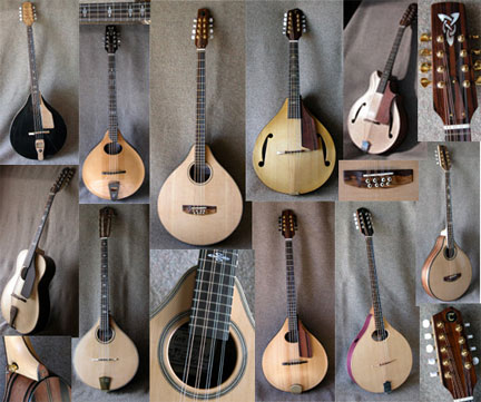 bouzoukis, citterns and octave mandolins in this gallery  gallery.jpg