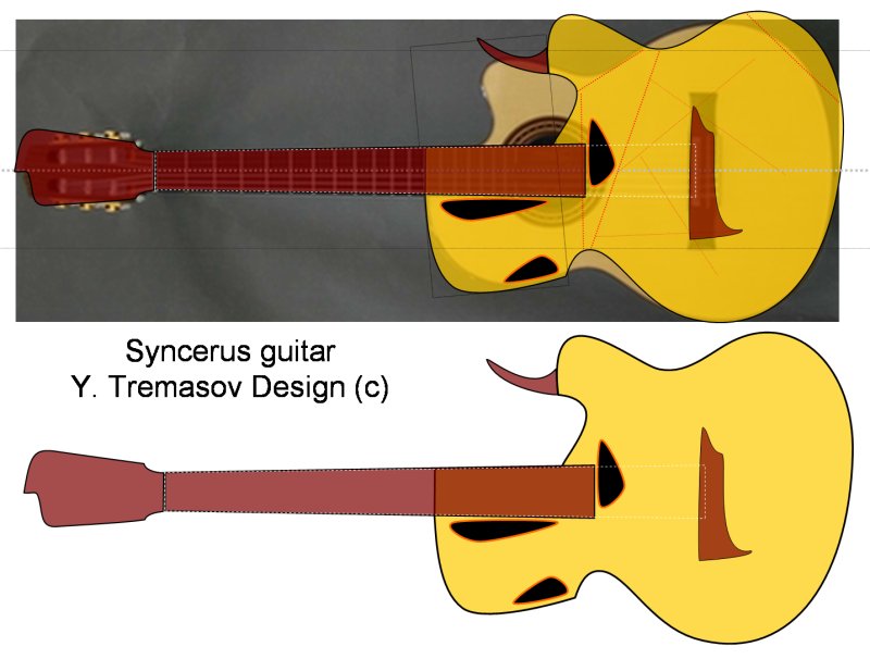 Syncerus guitar