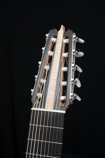 10 string  Silent guitar, Ebony headstock, bone nut, Ebony fretboard.JPG