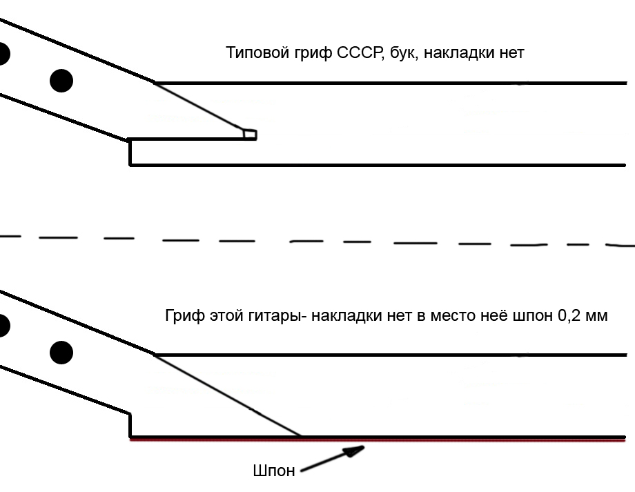 гриф2.jpg