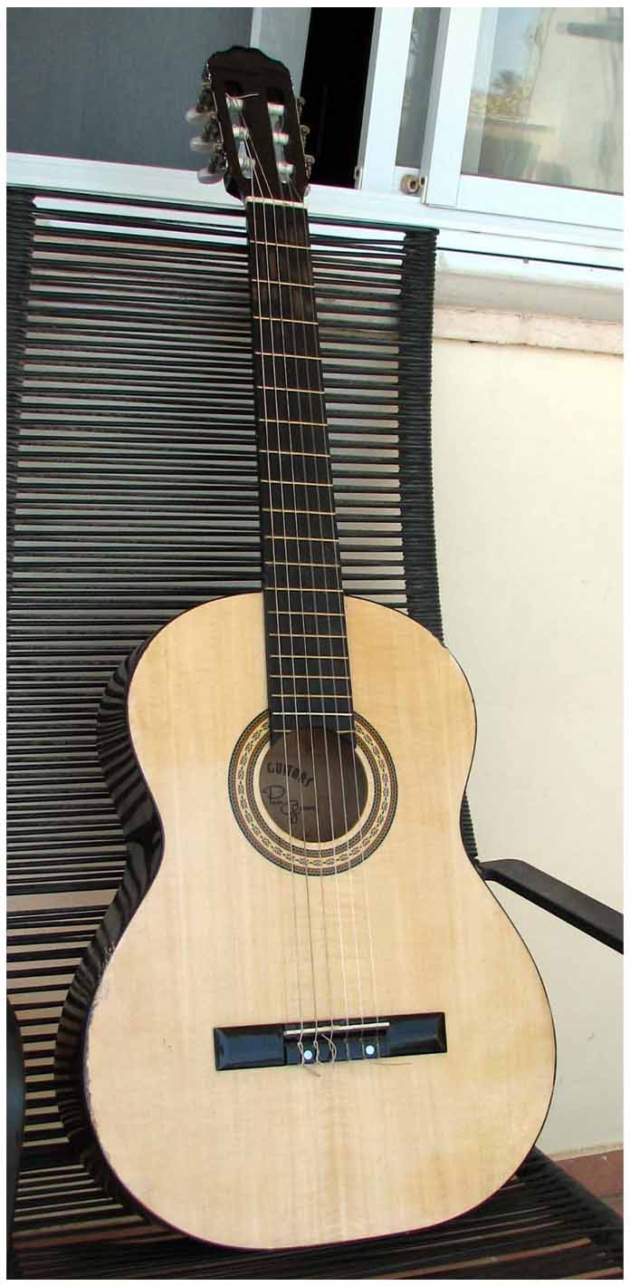 paco guitar_4