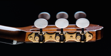 GTC_Headstock_Hauser_SG_galalith_SIDE_361.jpg