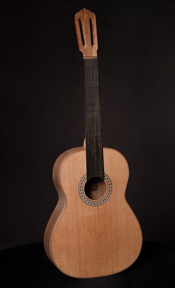 gitara-copy.jpg