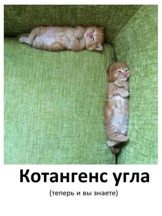 котангенц.jpg