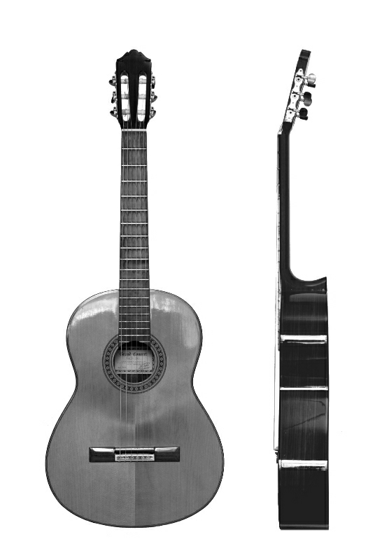 Classical_Guitar_grey-50.jpg