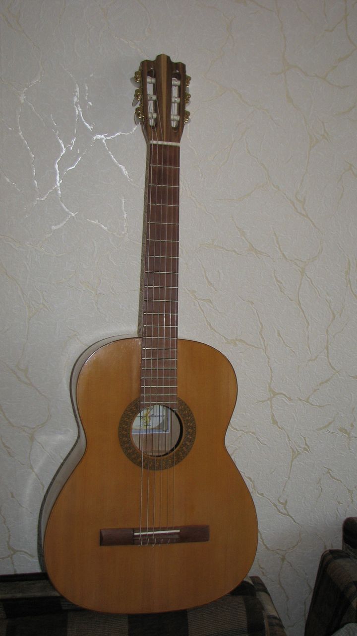 гитара 015.jpg